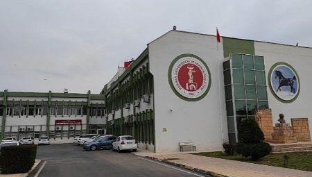 Harran Üniversitesi’nde Kanatlı Hayvanlar İçin Teşhis Kiti Geliştirildi