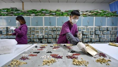 Klasik Çin Tıbbı Sayımında 163 Yeni Bitki Çeşidi Tespit Edildi