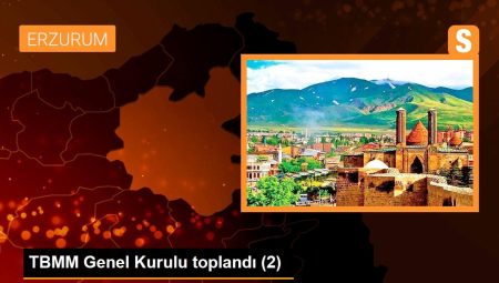 TBMM Genel Şurası toplandı (2)